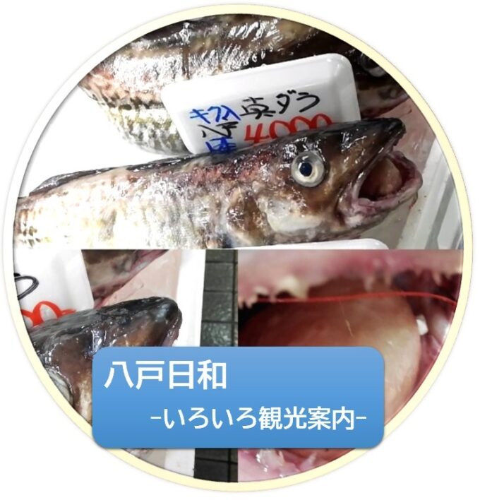 **八戸日和①** 主に八食センター&七厘村!お薦めはもちろん、色々と気づいたこと。 表紙2