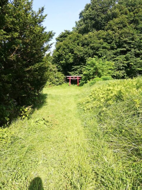 【衝撃情報】杉沢村を探していたら、……まさか。青森にナチスドイツの拠点が。。。 間違情報表紙