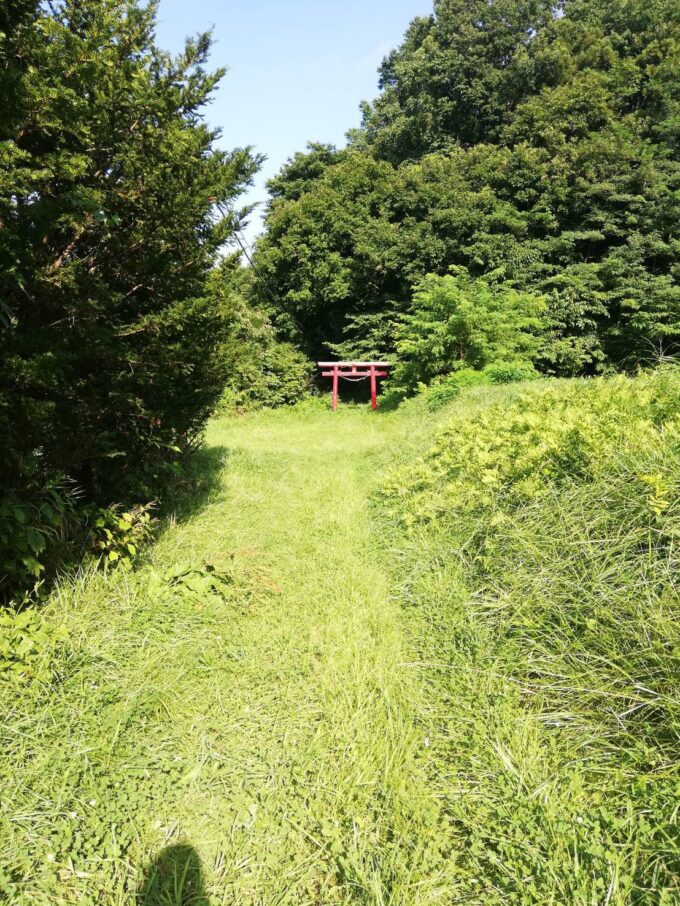 【衝撃情報】杉沢村を探していたら、……まさか。青森にナチスドイツの拠点が。。。 間違情報表紙