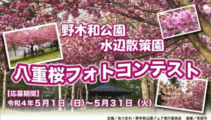 【イベント情報】野木和公園水辺散策園 八重桜フォトコンテスト開催のお知らせ #水辺散策園八重桜2022 #青森 #羽白野木和 #油川 野木和表紙