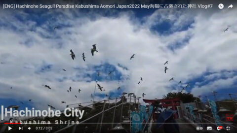 【海外目線】訪日客レビューから、#八戸 #蕪島 がどう思われているか探る🔍 #hachinohe #kabusima #seagull-shine 蕪島表紙