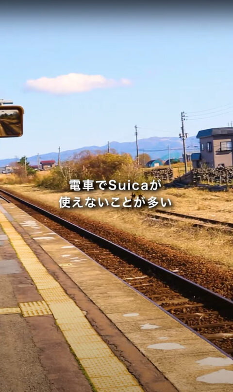 【青森移住】14日目で驚いたこと。 #青森 スイカ