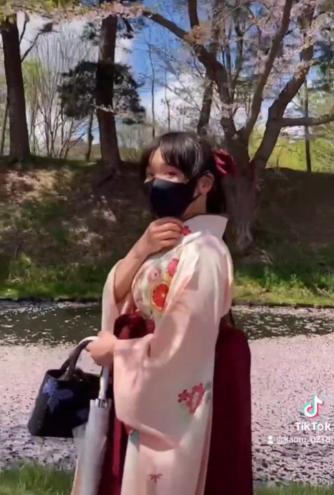 青森観光モデルコース⑤ 2026年 弘前の桜を満喫!ホテルの予約は今のうちに? ひろさきさくら