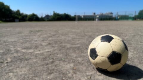 青森山田が初戦快勝 初芝橋本に5-0、選手権2回戦へ 27037918_s