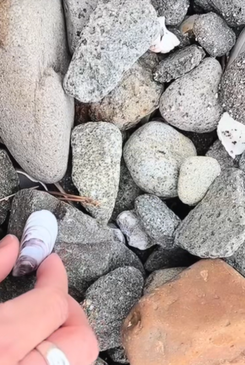 青森観光モデルコース⑧ 今回の旅のコンセプトは ”ドライブ×身近な面白さ” スクリーンショット 2026-01-07 212600