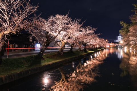 青森県の4/28宿泊料金を5年比較 弘前は高値傾向、八戸は販売件数に厚み 0416-4