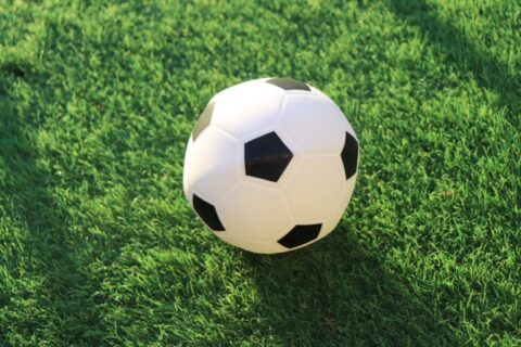 ヴァンラーレ八戸はホームで惜敗 ラインメール青森FC、ブランデュー弘前FCも新シーズンへ動く 34122852_s